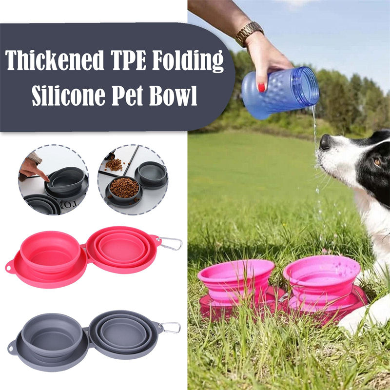Collapsible Silicone Dog Travel Bowl with Carabiner