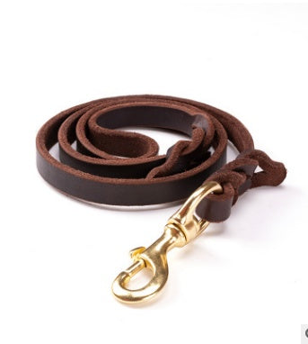 Braided Leather Dog Leash with Heavy Duty Clip