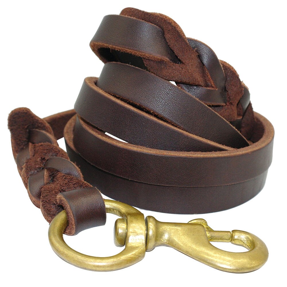 Braided Leather Dog Leash with Heavy Duty Clip
