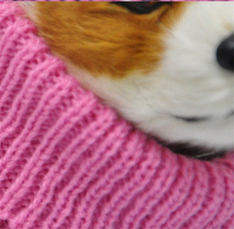 Casual And Cute Dog Sweater