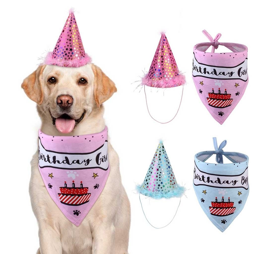 2 in 1 Birthday Party Hat And Bandana set