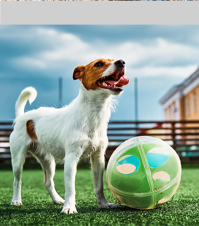 Perplexus Stress Relieving And Educational Dog Ball Puzzle