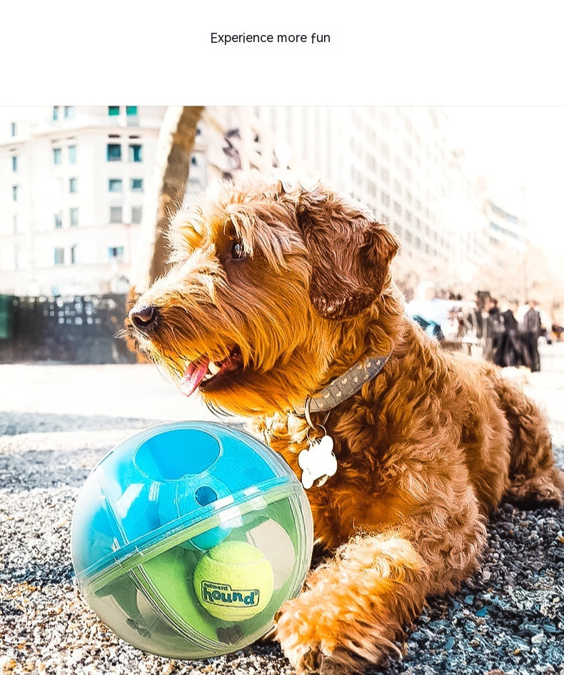 Perplexus Stress Relieving And Educational Dog Ball Puzzle
