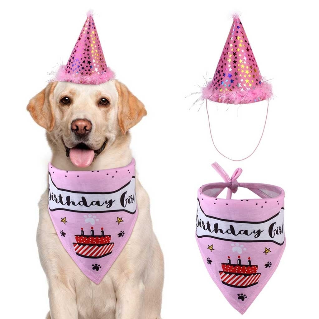 2 in 1 Birthday Party Hat And Bandana set