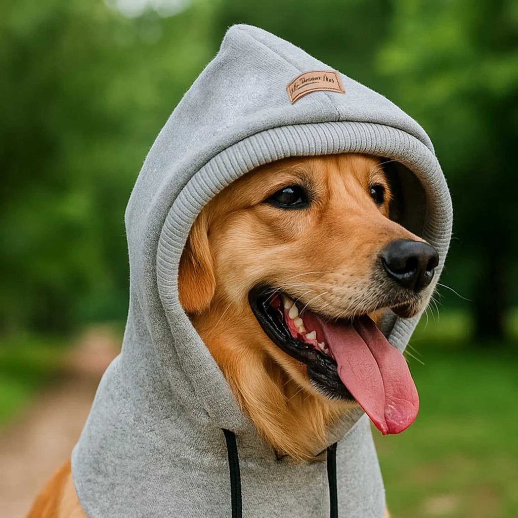 Casual Noise-Blocking Earflap Doggy Hat