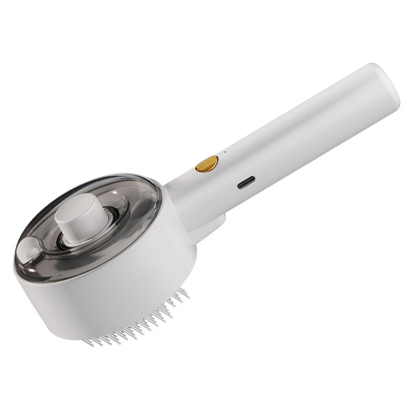 Animal Hair Steam Brush