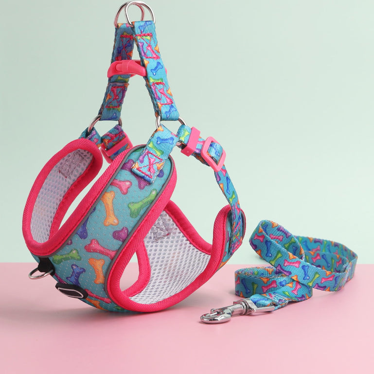 Breathable Dog Harness and Leash Set with Adjustable Fit
