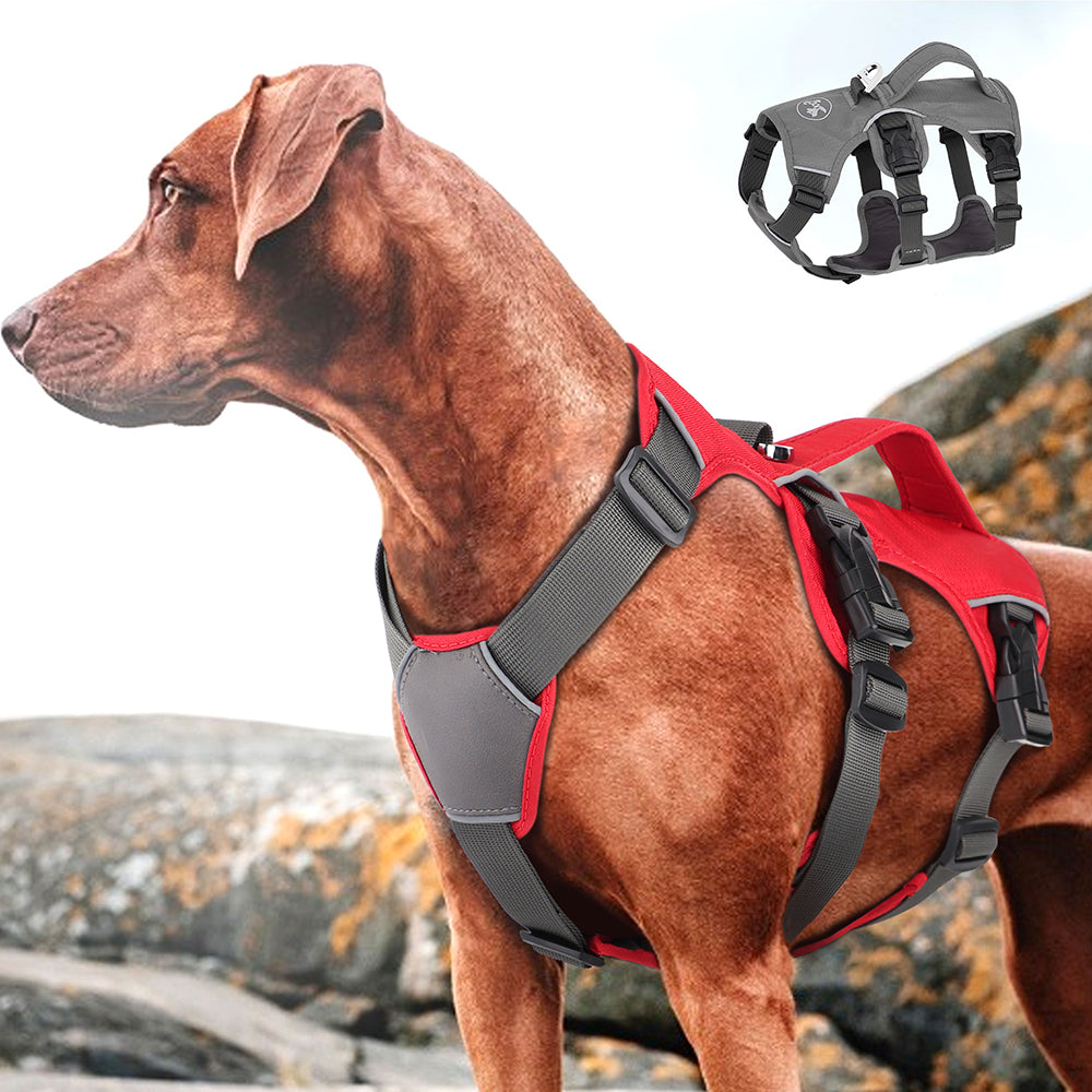 Adjustable 3-Strap Style Mesh Dog Harness