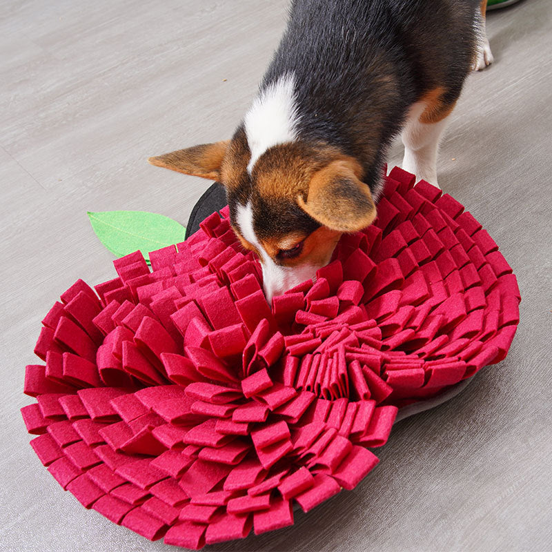 Cloth Apple Shaped Snuffle Mat