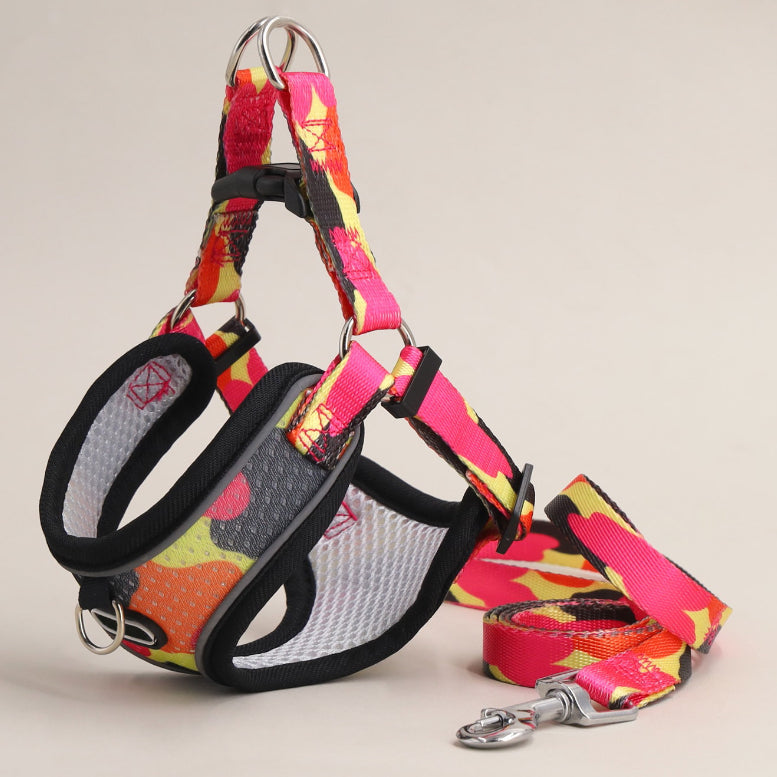Breathable Dog Harness and Leash Set with Adjustable Fit