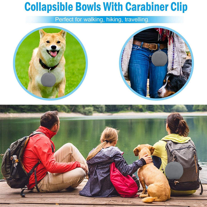 Collapsible Silicone Dog Travel Bowl with Carabiner