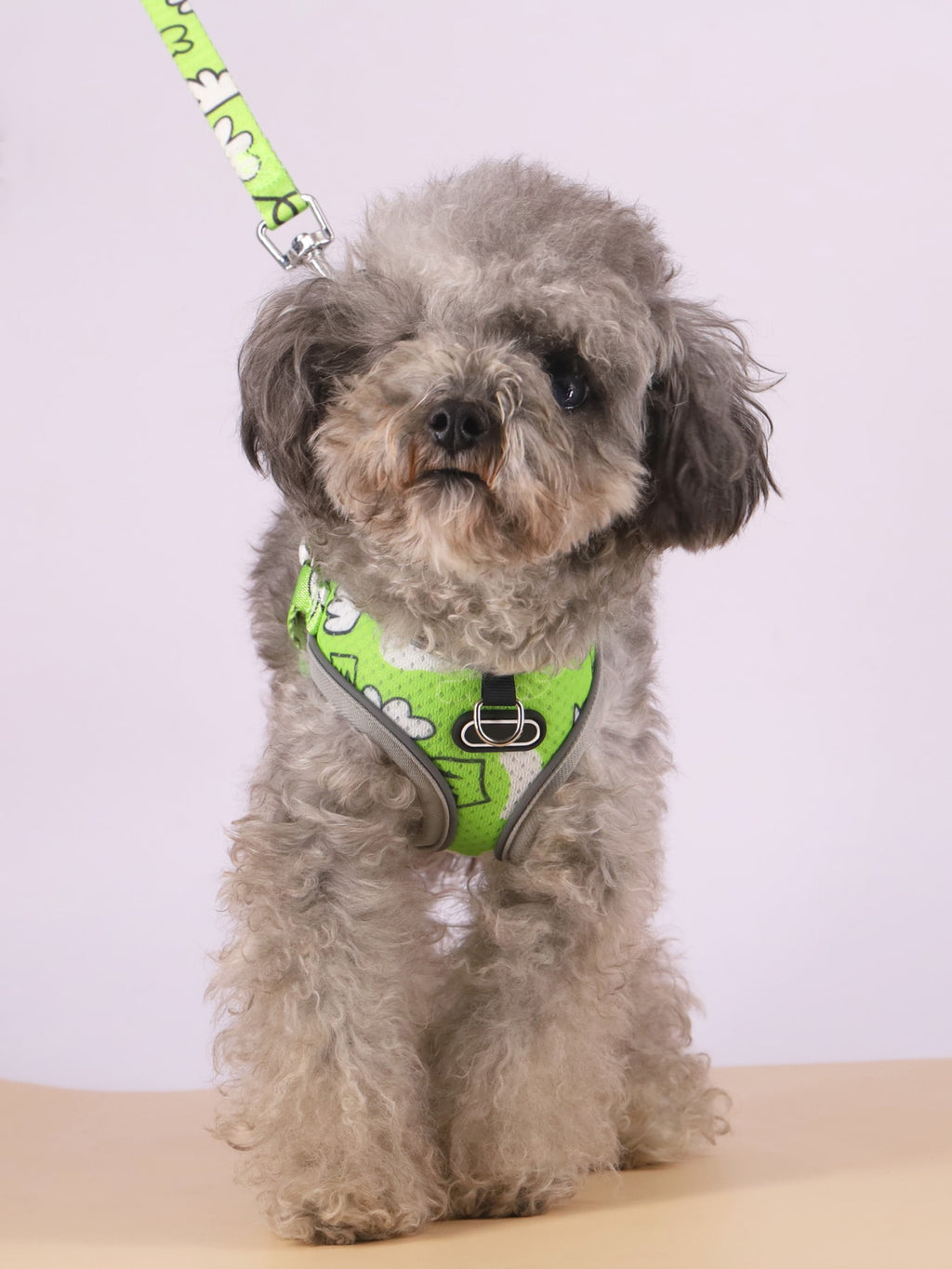 Breathable Dog Harness and Leash Set with Adjustable Fit