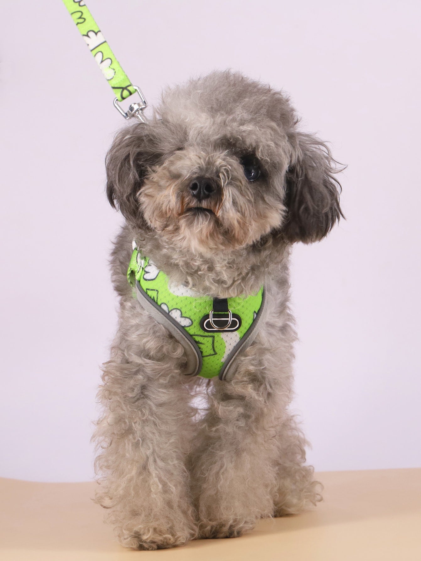 Breathable Dog Harness and Leash Set with Adjustable Fit