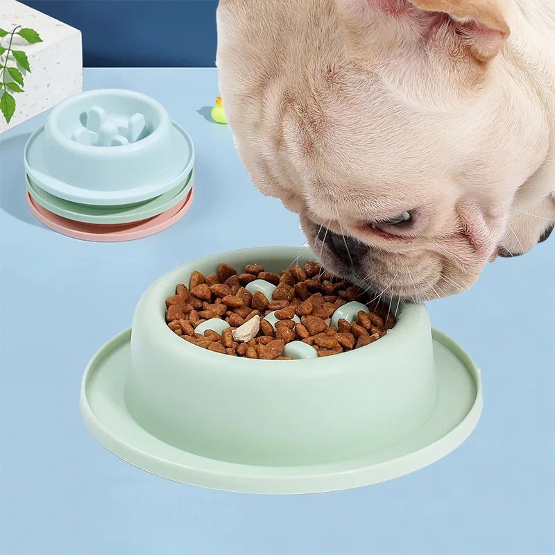 Colorful Slow Feeder Bowl For Small And Medium Dogs