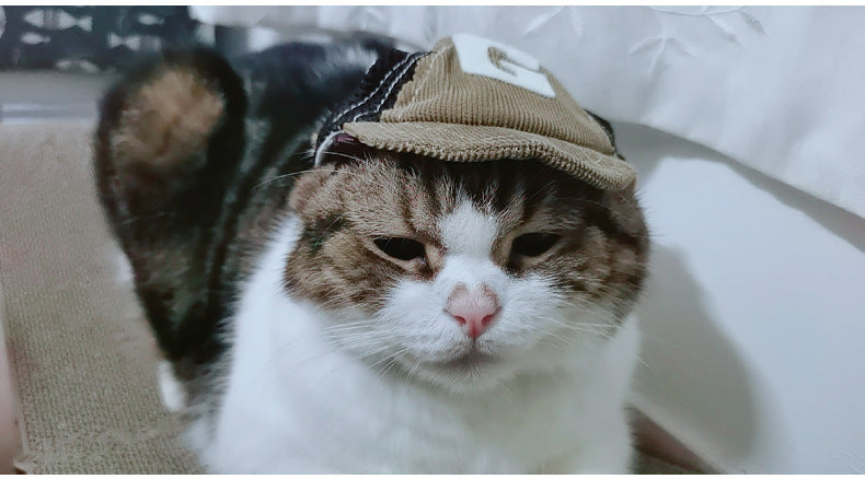 Breathable Corduroy Plain Woven Pet Hat