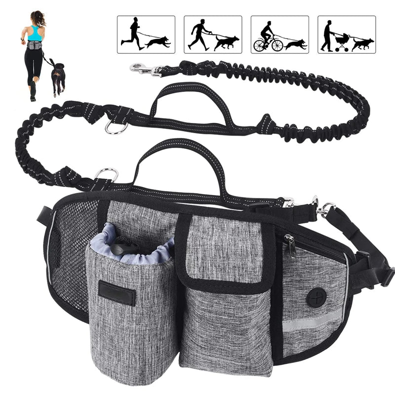 All In One Portable Training And Travel Pet Bag.