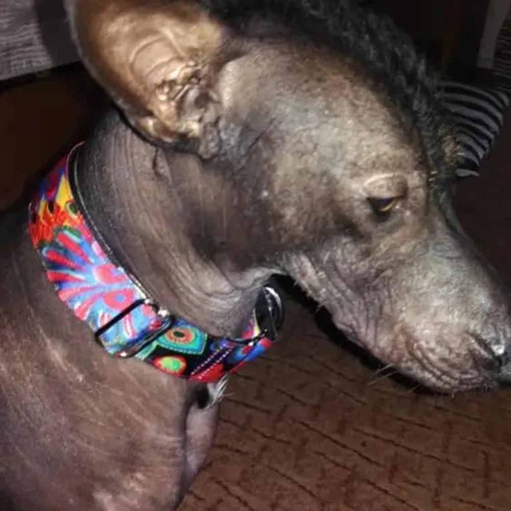 Adjustables Hand-made Martingale Collar