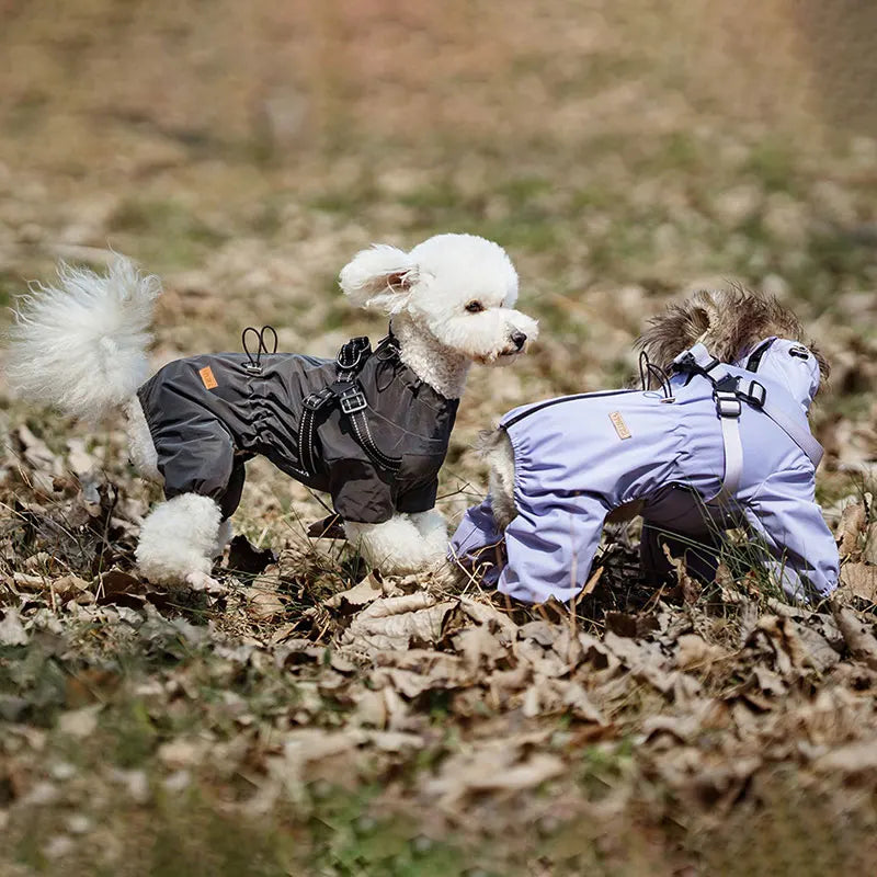 Adjustable Reflective Waterproof Four legged Raincoat With Harness