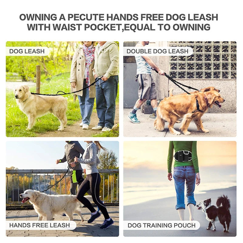 All In One Portable Training And Travel Pet Bag.