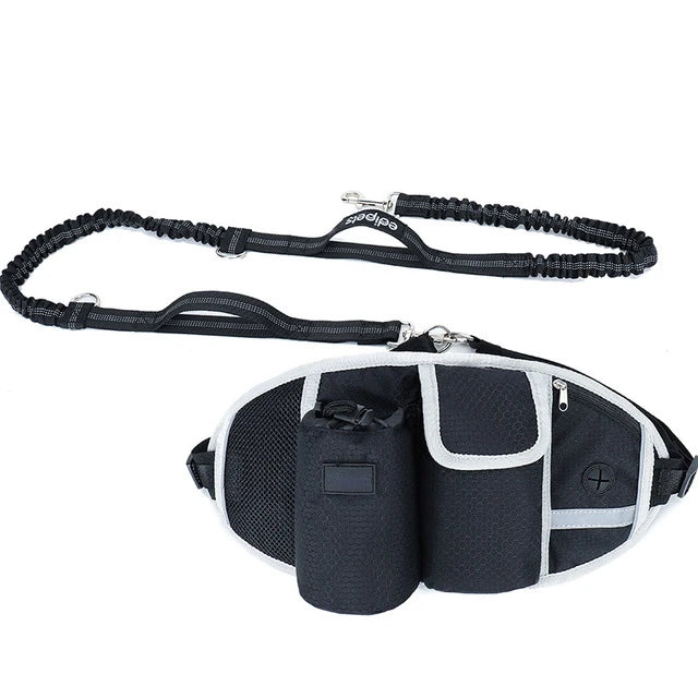 All In One Portable Training And Travel Pet Bag.
