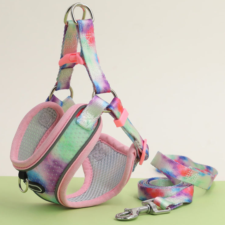 Breathable Dog Harness and Leash Set with Adjustable Fit