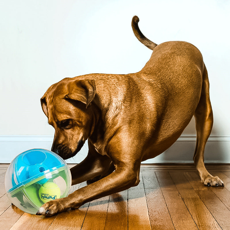 Perplexus Stress Relieving And Educational Dog Ball Puzzle