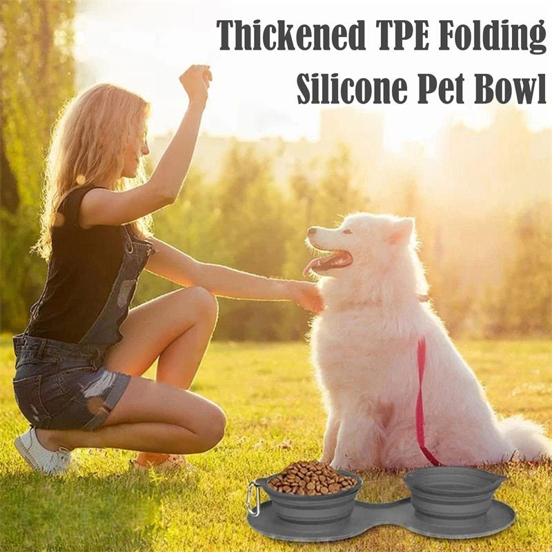 Collapsible Silicone Dog Travel Bowl with Carabiner