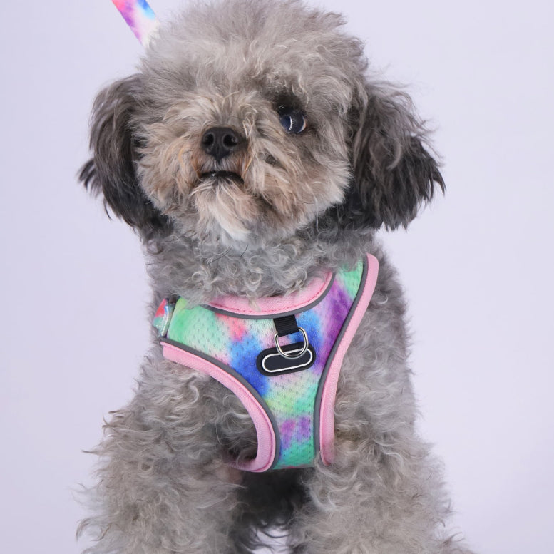 Breathable Dog Harness and Leash Set with Adjustable Fit