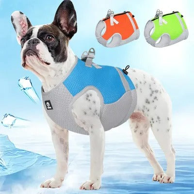Cooling Dog Vest – Soak & Wear Summer Jacket