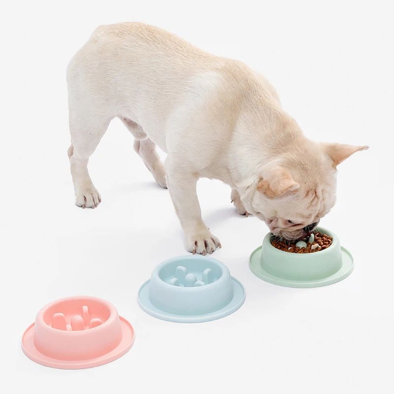 Colorful Slow Feeder Bowl For Small And Medium Dogs