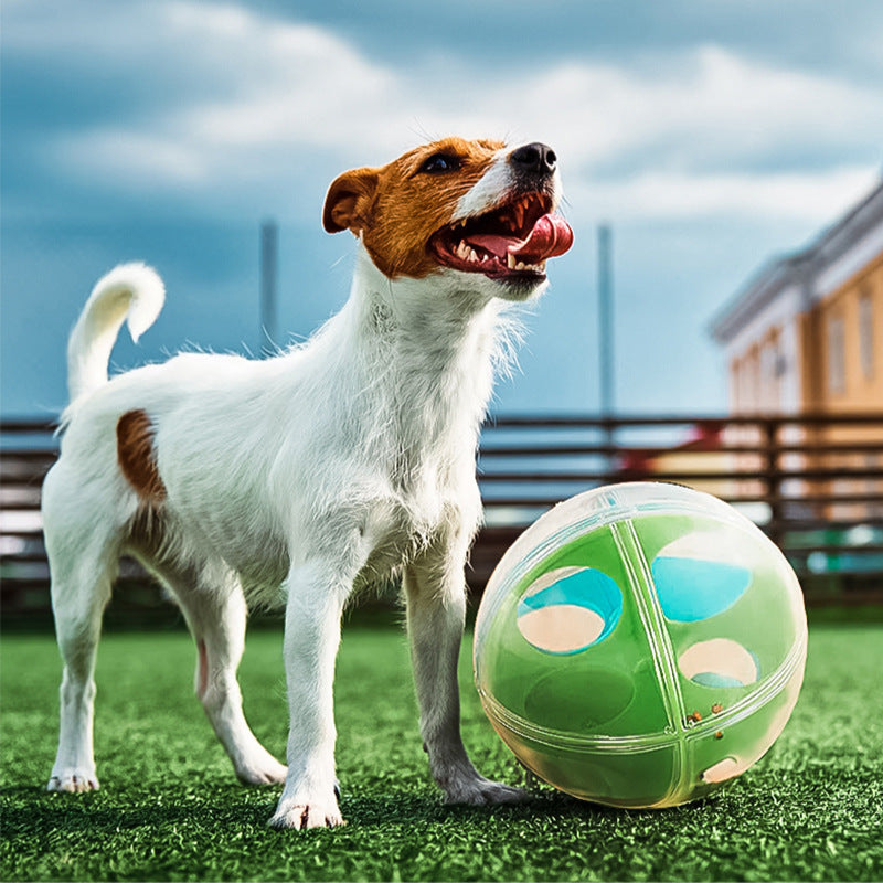 Perplexus Stress Relieving And Educational Dog Ball Puzzle