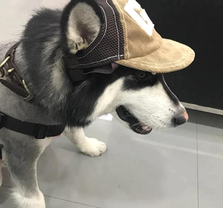 Breathable Corduroy Plain Woven Pet Hat