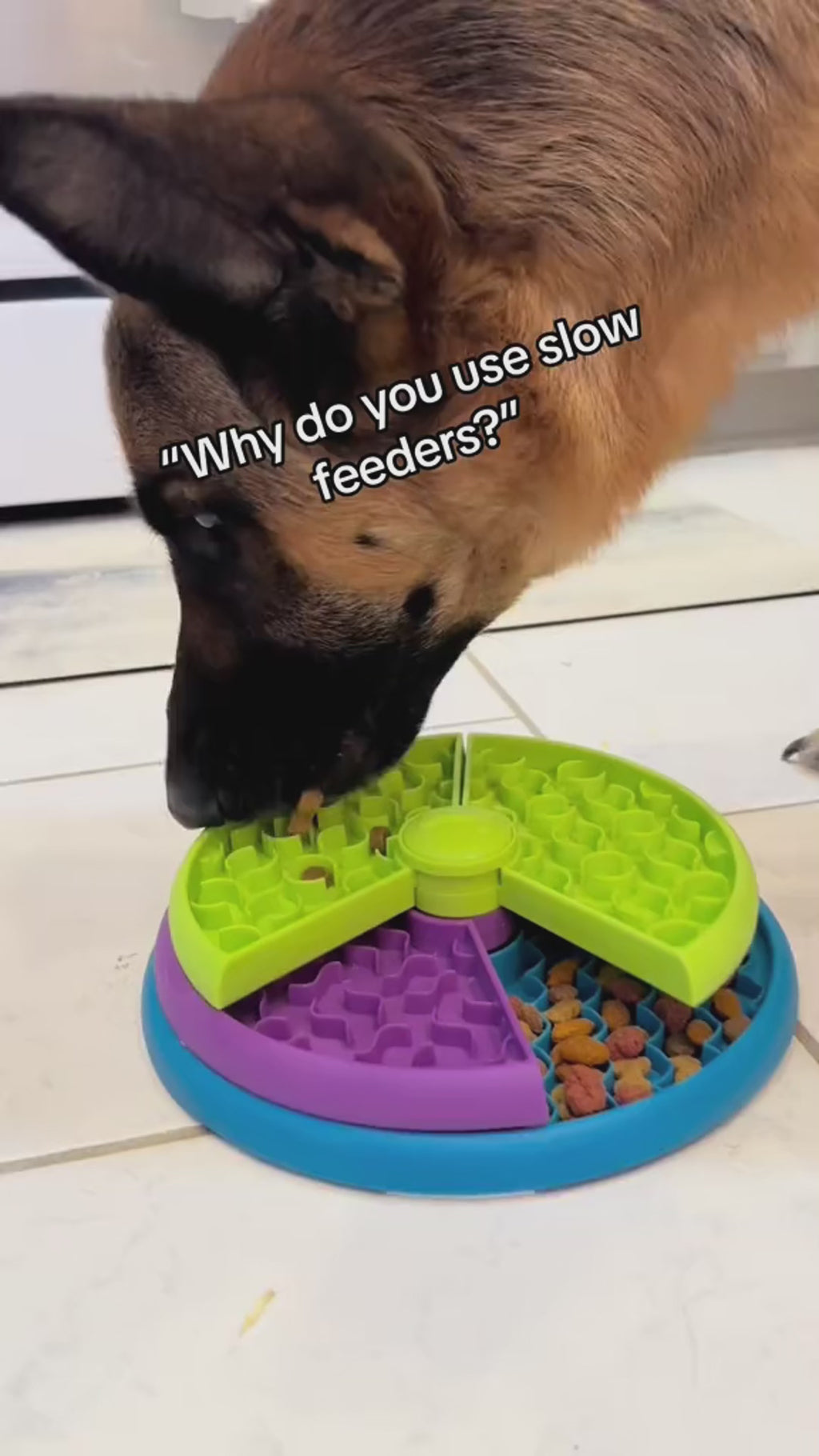 3-Layer Rotating Slow Feeder Puzzle