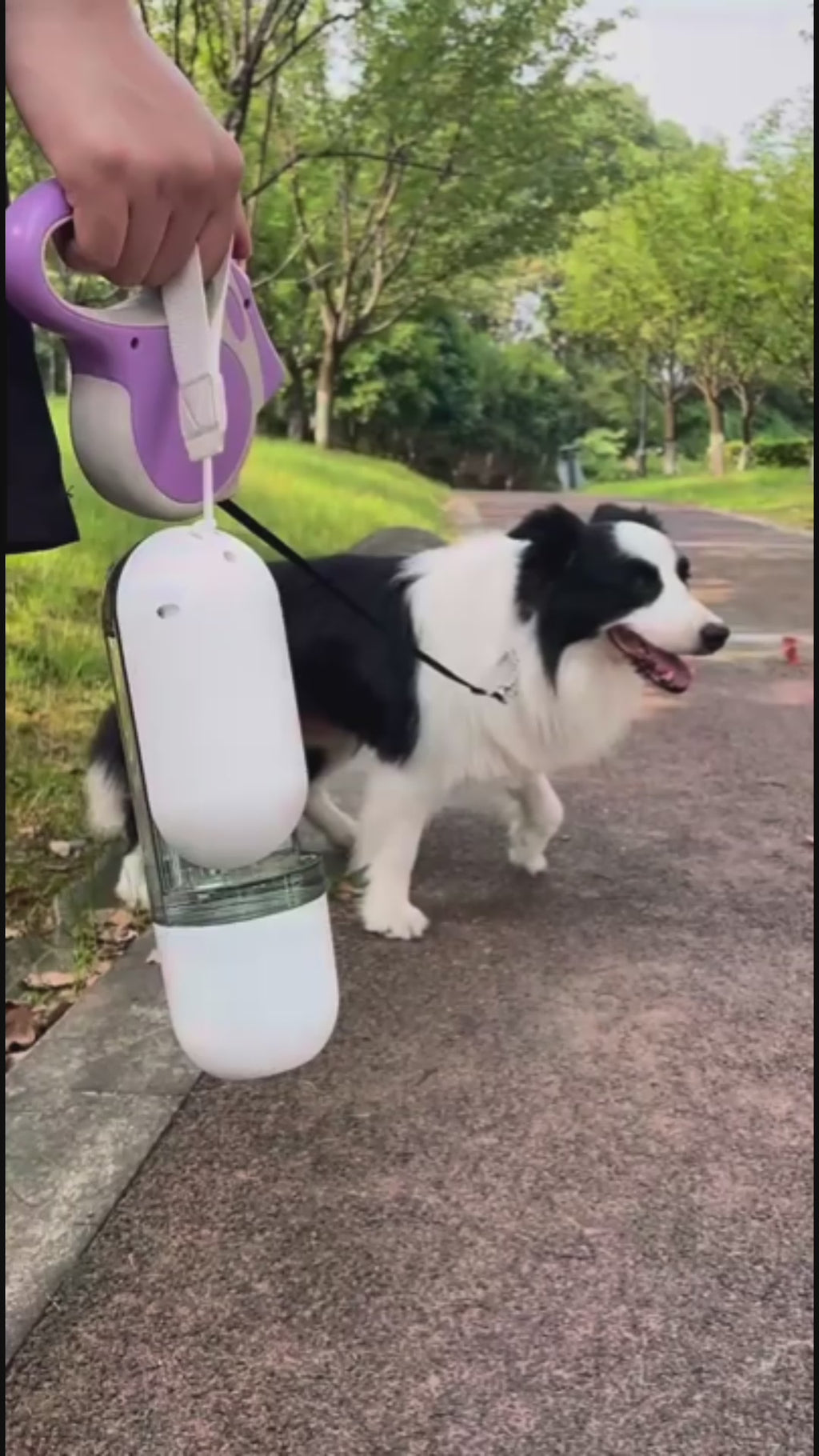 2 in 1 Dog Water Bottle with Food Container and Drinking Bowl