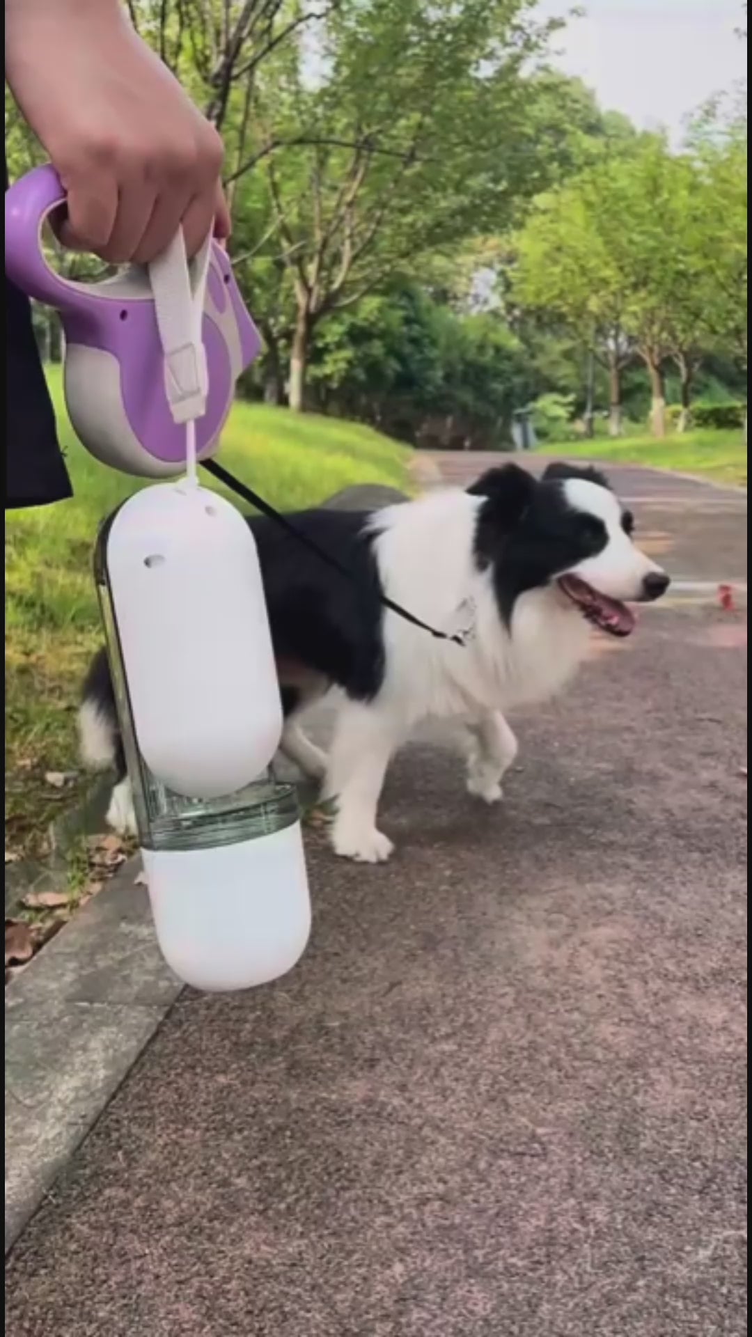 2 in 1 Dog Water Bottle with Food Container and Drinking Bowl