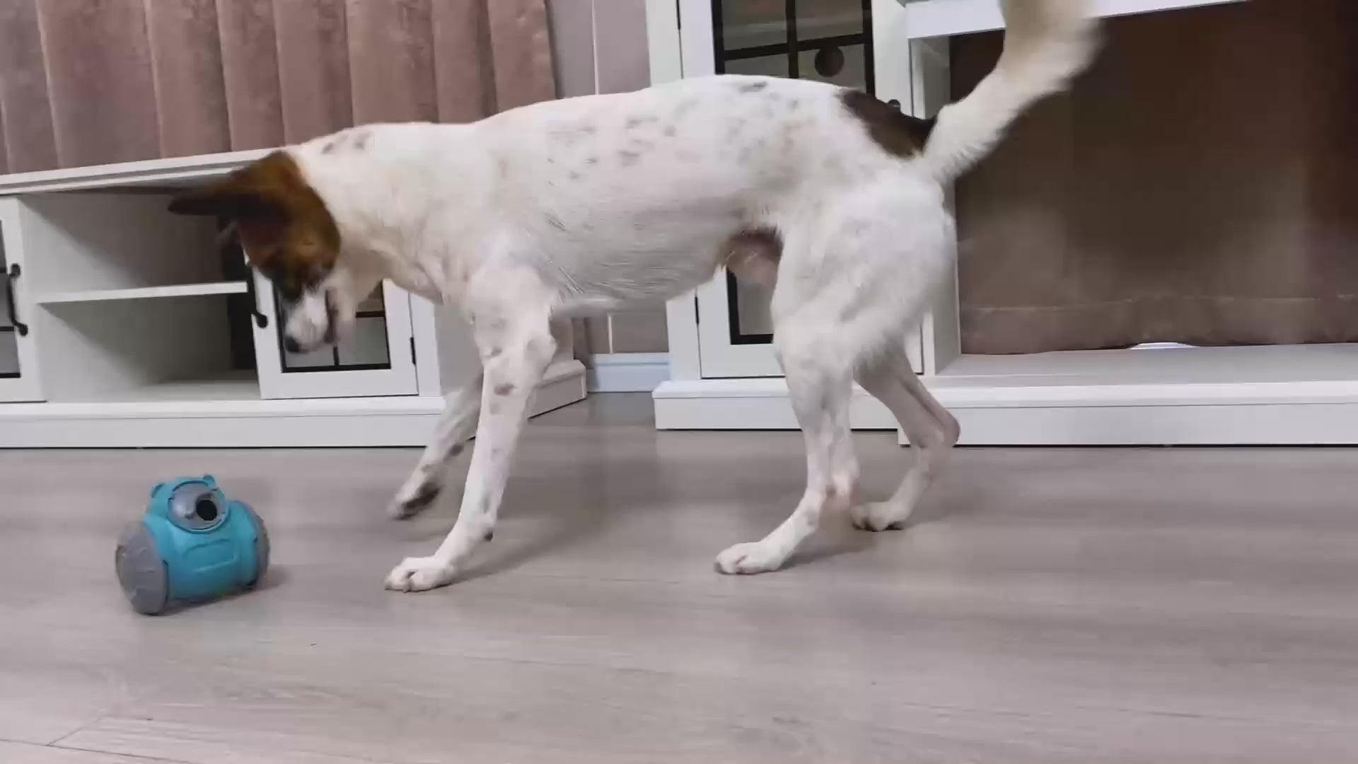 Interactive Rolling Treat Dispenser Tumbler Toy