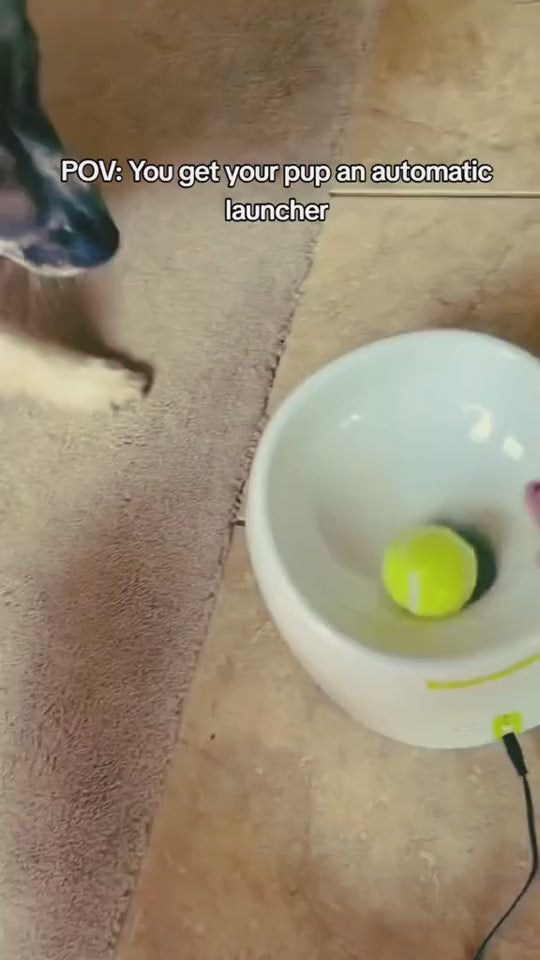 Automatic Dog Ball Launcher