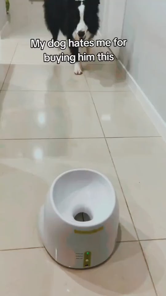 Automatic Dog Ball Launcher