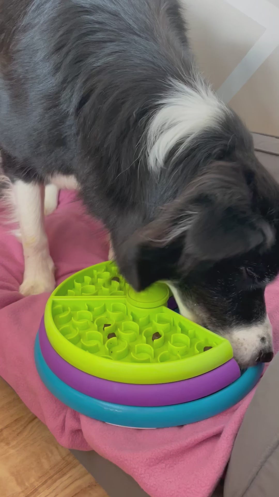 3-Layer Rotating Slow Feeder Puzzle