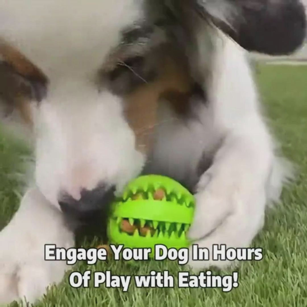 Treat Dispensing Rubber Ball
